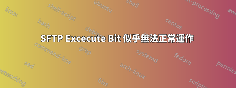 SFTP Excecute Bit 似乎無法正常運作