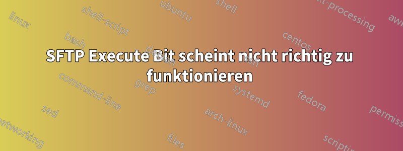 SFTP Execute Bit scheint nicht richtig zu funktionieren