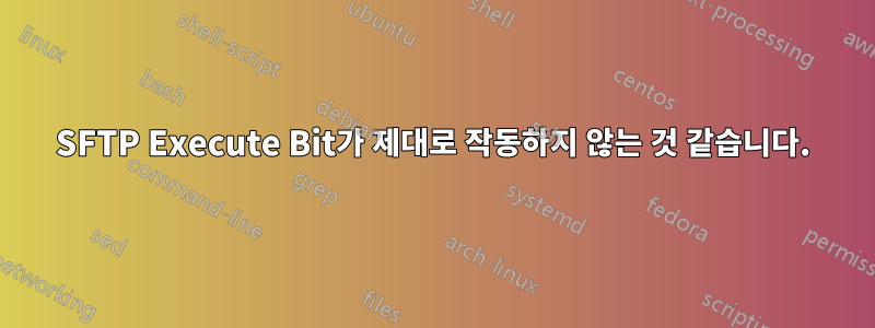 SFTP Execute Bit가 제대로 작동하지 않는 것 같습니다.