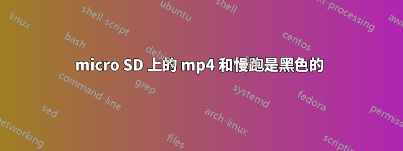 micro SD 上的 mp4 和慢跑是黑色的