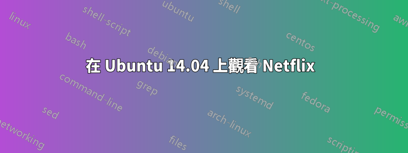 在 Ubuntu 14.04 上觀看 Netflix 