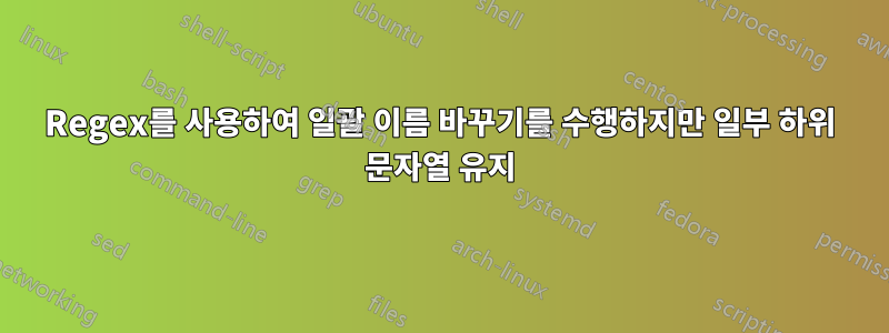 Regex를 사용하여 일괄 이름 바꾸기를 수행하지만 일부 하위 문자열 유지