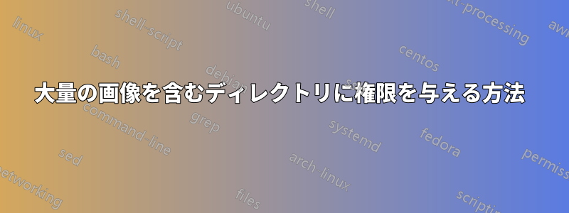 大量の画像を含むディレクトリに権限を与える方法 