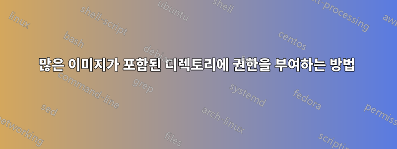 많은 이미지가 포함된 디렉토리에 권한을 부여하는 방법