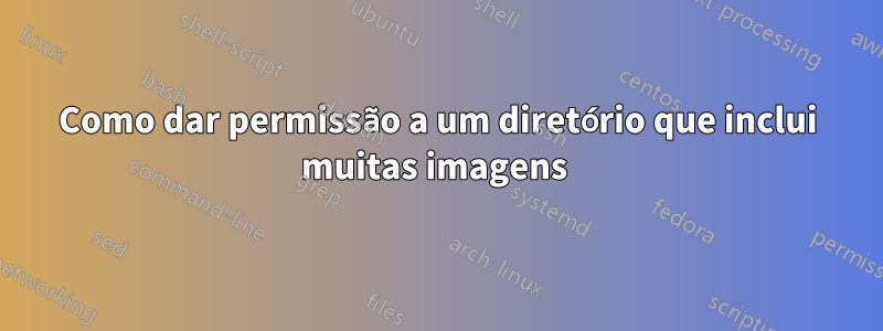 Como dar permissão a um diretório que inclui muitas imagens 