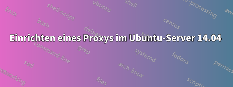 Einrichten eines Proxys im Ubuntu-Server 14.04