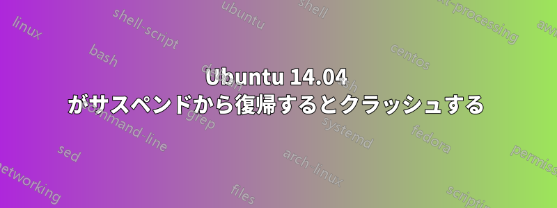 Ubuntu 14.04 がサスペンドから復帰するとクラッシュする