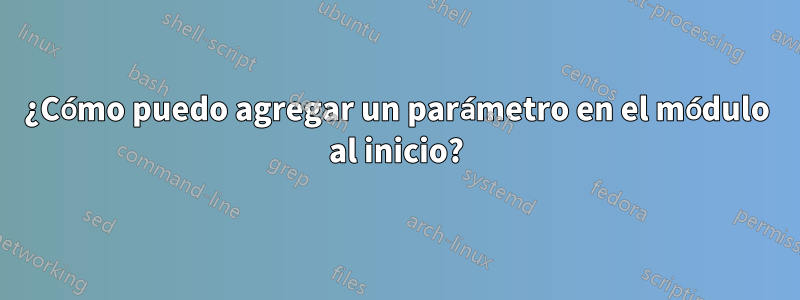 ¿Cómo puedo agregar un parámetro en el módulo al inicio?