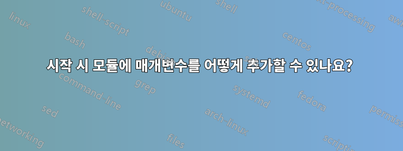 시작 시 모듈에 매개변수를 어떻게 추가할 수 있나요?