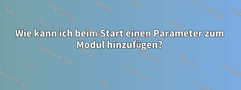 Wie kann ich beim Start einen Parameter zum Modul hinzufügen?