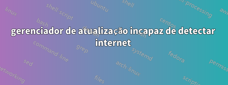 gerenciador de atualização incapaz de detectar internet