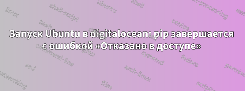 Запуск Ubuntu в digitalocean: pip завершается с ошибкой «Отказано в доступе»