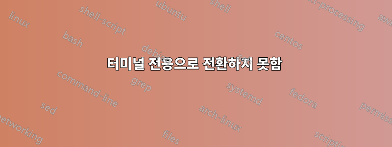 터미널 전용으로 전환하지 못함