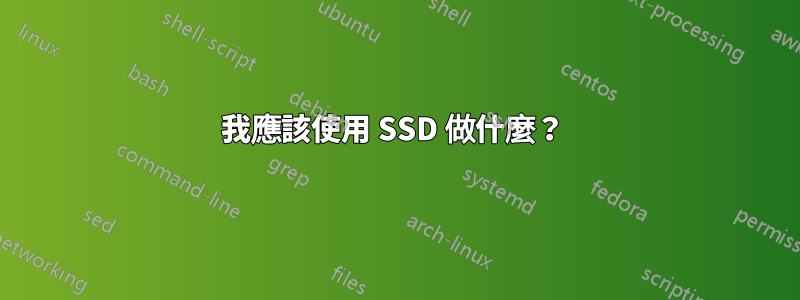 我應該使用 SSD 做什麼？ 