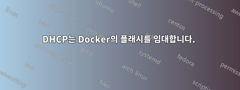 DHCP는 Docker의 플래시를 임대합니다.