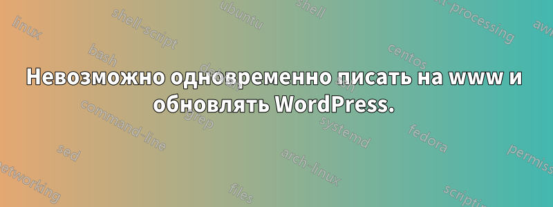 Невозможно одновременно писать на www и обновлять WordPress.