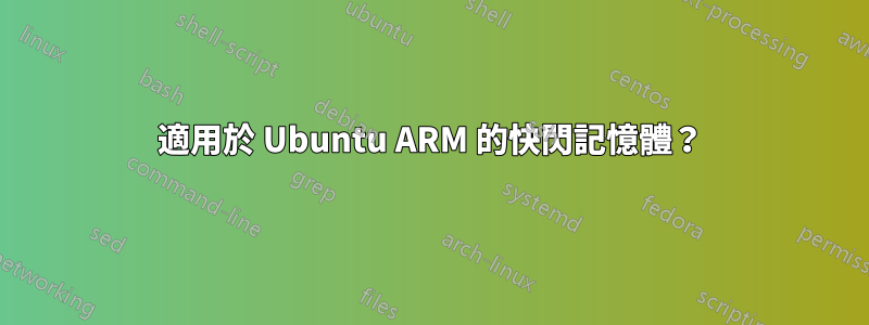 適用於 Ubuntu ARM 的快閃記憶體？