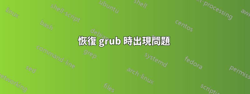 恢復 grub 時出現問題