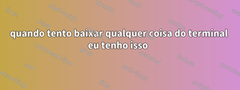 quando tento baixar qualquer coisa do terminal eu tenho isso 