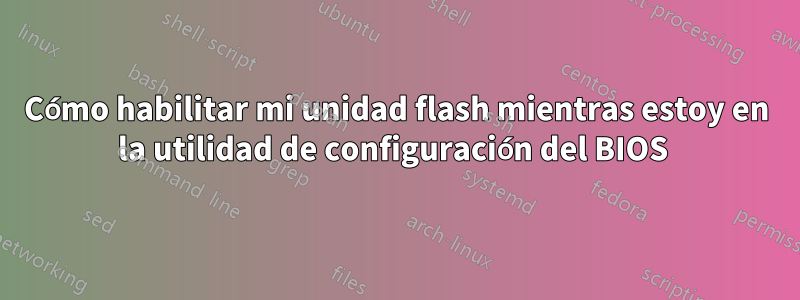 Cómo habilitar mi unidad flash mientras estoy en la utilidad de configuración del BIOS 