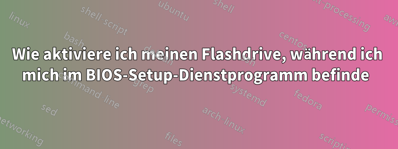 Wie aktiviere ich meinen Flashdrive, während ich mich im BIOS-Setup-Dienstprogramm befinde 