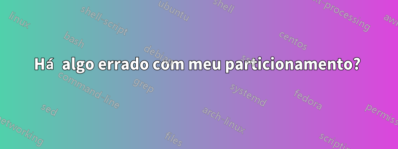 Há algo errado com meu particionamento?