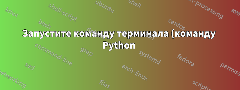 Запустите команду терминала (команду Python) при запуске