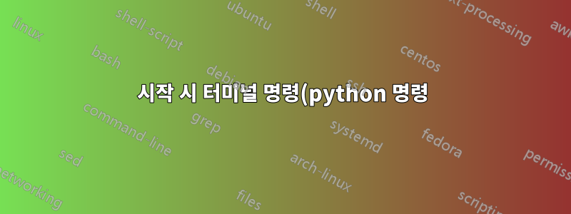 시작 시 터미널 명령(python 명령) 실행