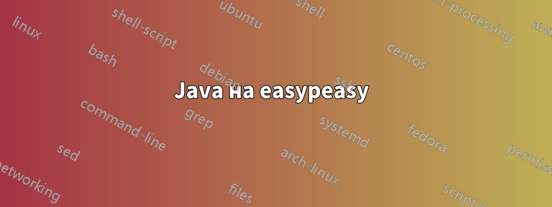 Java на easypeasy 