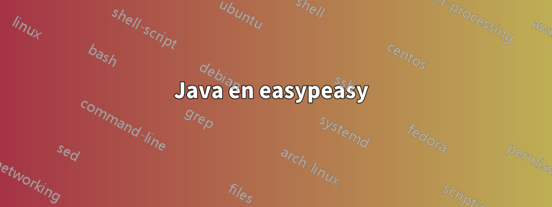 Java en easypeasy 