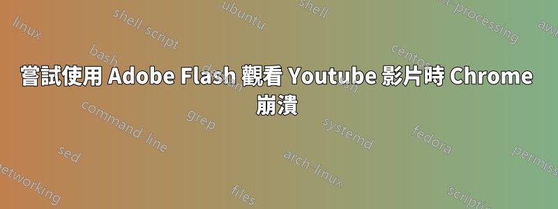 嘗試使用 Adob​​e Flash 觀看 Youtube 影片時 Chrome 崩潰