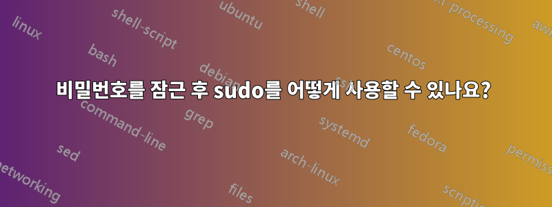 비밀번호를 잠근 후 sudo를 어떻게 사용할 수 있나요?