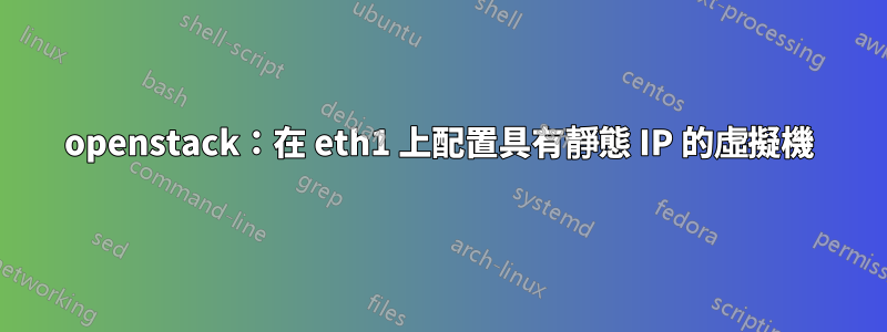 openstack：在 eth1 上配置具有靜態 IP 的虛擬機