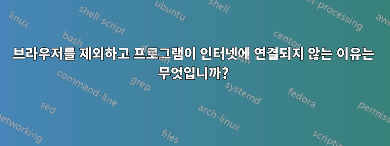 브라우저를 제외하고 프로그램이 인터넷에 연결되지 않는 이유는 무엇입니까?