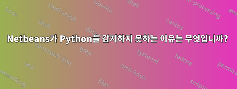 Netbeans가 Python을 감지하지 못하는 이유는 무엇입니까?