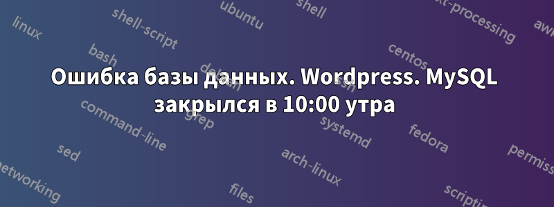 Ошибка базы данных. Wordpress. MySQL закрылся в 10:00 утра