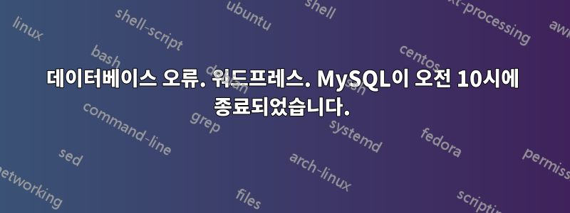 데이터베이스 오류. 워드프레스. MySQL이 오전 10시에 종료되었습니다.