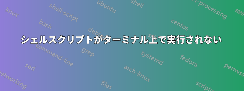 シェルスクリプトがターミナル上で実行されない