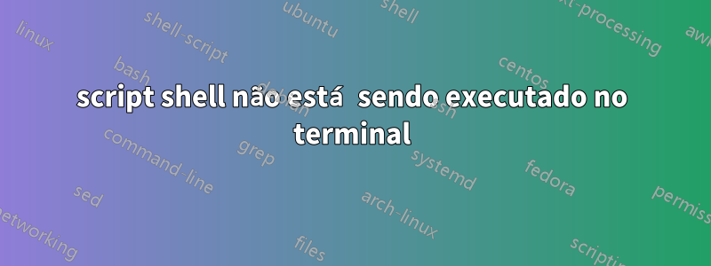 script shell não está sendo executado no terminal