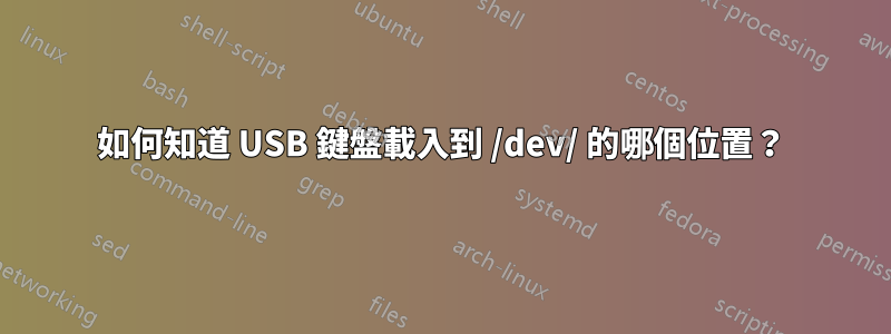 如何知道 USB 鍵盤載入到 /dev/ 的哪個位置？