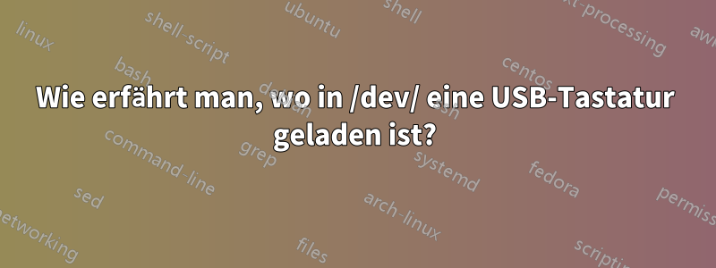 Wie erfährt man, wo in /dev/ eine USB-Tastatur geladen ist?