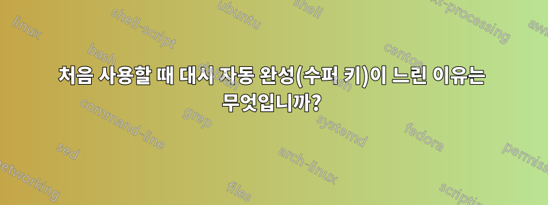 처음 사용할 때 대시 자동 완성(수퍼 키)이 느린 이유는 무엇입니까?