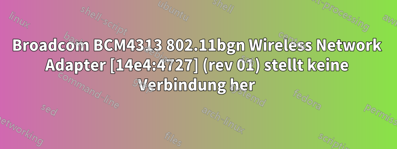 Broadcom BCM4313 802.11bgn Wireless Network Adapter [14e4:4727] (rev 01) stellt keine Verbindung her