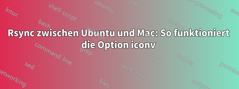 Rsync zwischen Ubuntu und Mac: So funktioniert die Option iconv