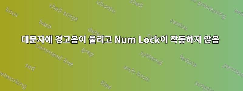 대문자에 경고음이 울리고 Num Lock이 작동하지 않음