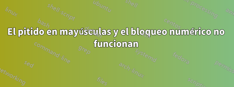 El pitido en mayúsculas y el bloqueo numérico no funcionan