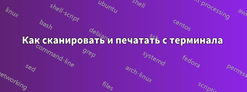 Как сканировать и печатать с терминала