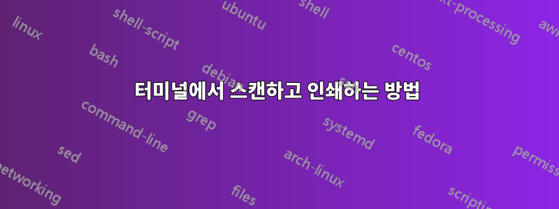 터미널에서 스캔하고 인쇄하는 방법