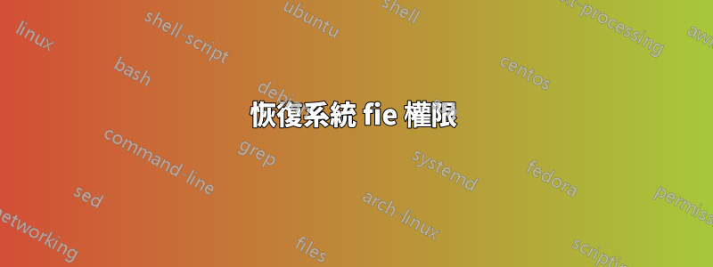 恢復系統 fie 權限