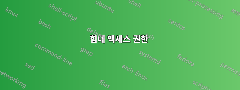 힘내 액세스 권한